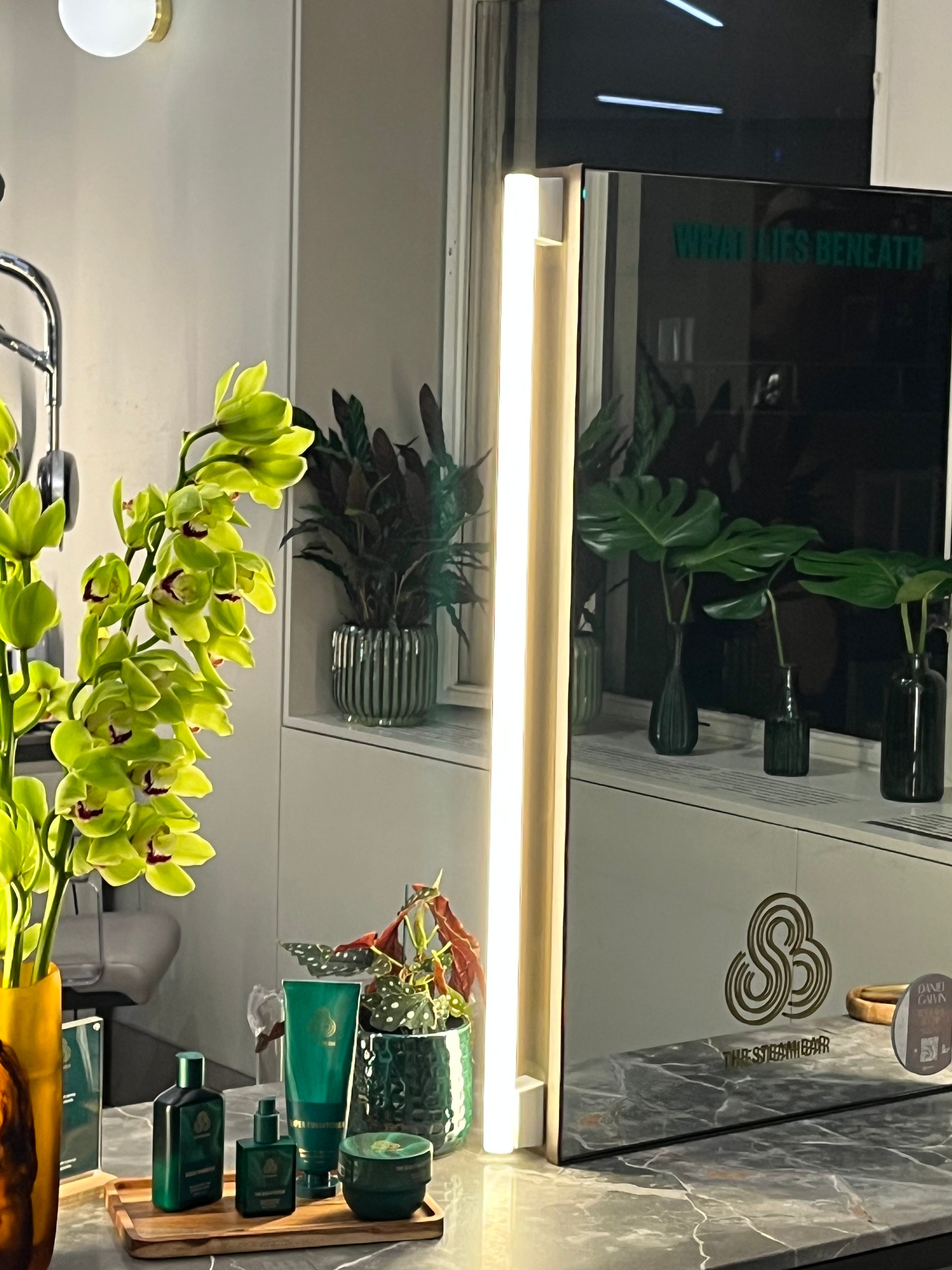 Welcome to our Sanctuary